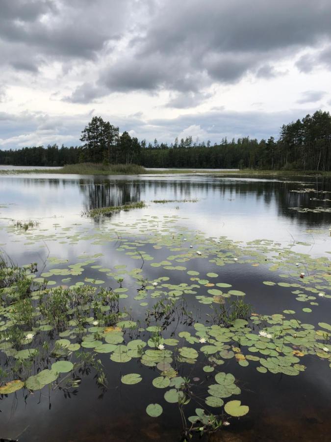 Three Rooms Stuga I Stugby Near National Park Undenäs Buitenkant foto